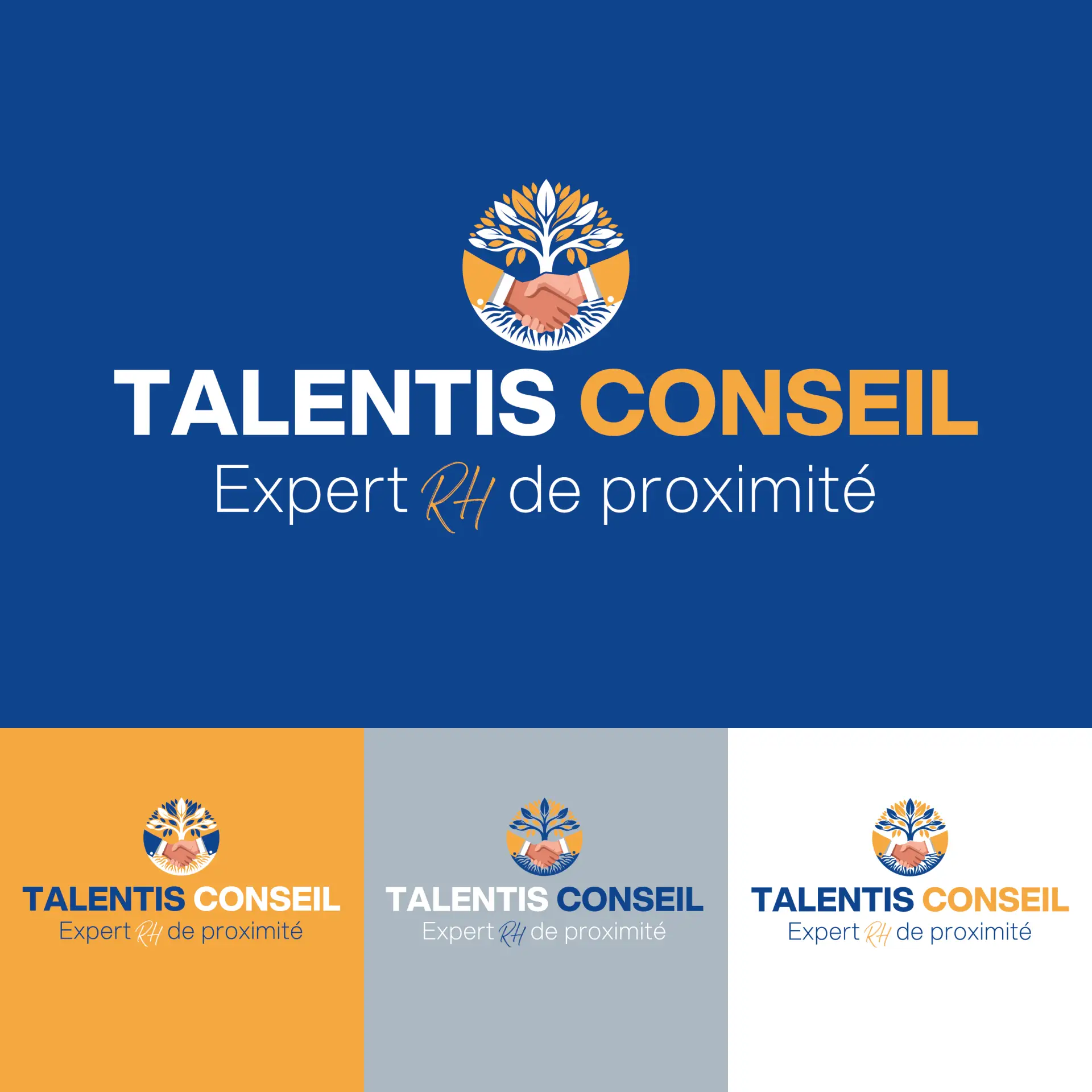 Agence Web Mayotte